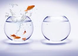 quantuum leap